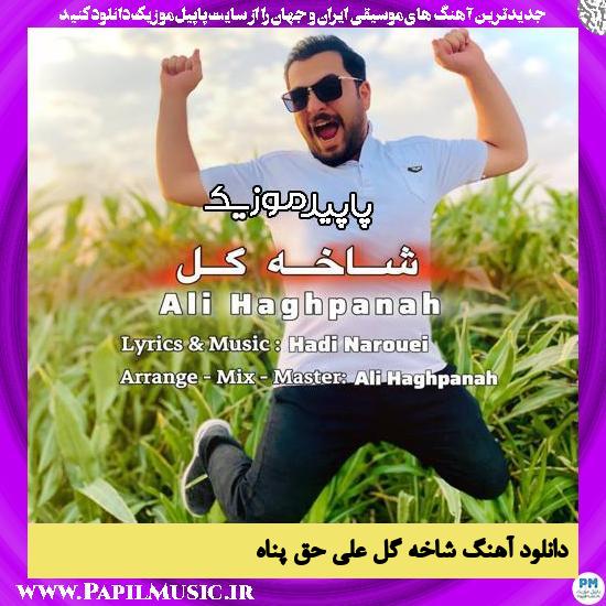 دانلود آهنگ شاخه گل از علی حق پناه