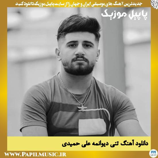 دانلود آهنگ تنی دیوانمه از علی حمیدی 1 Ali Hamidi Teni Divaneme دانلود آهنگ تنی دیوانمه از علی حمیدی