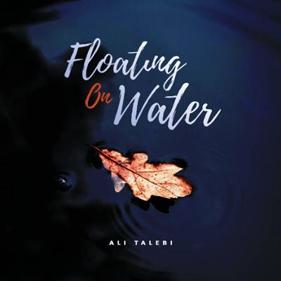 دانلود آهنگ بی کلام Floatin On Water از علی طالبی 1 Ali Talebi Floatin On Water دانلود آهنگ بی کلام Floatin On Water از علی طالبی