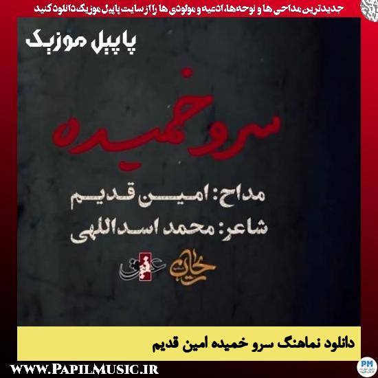 دانلود نماهنگ سرو خمیده از امین قدیم