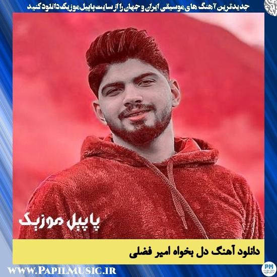 دانلود آهنگ دل بخواه از امیر فضلی