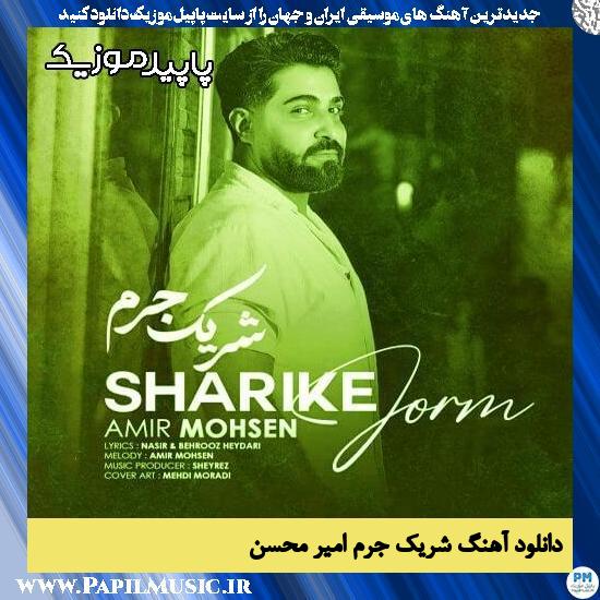 دانلود آهنگ شریک جرم از امیر محسن