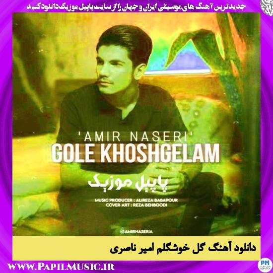 دانلود آهنگ گل خوشگلم از امیر ناصری 1 دانلود آهنگ گل خوشگلم از امیر ناصری