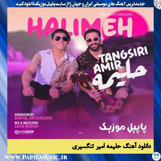 دانلود آهنگ حلیمه از امیر تنگسیری 1 Amir Tangsiri Halime دانلود آهنگ حلیمه از امیر تنگسیری