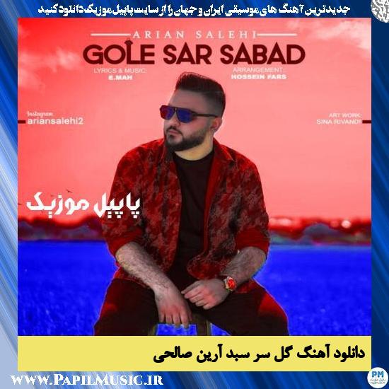 دانلود آهنگ گل سر سبد از آرین صالحی 1 دانلود آهنگ گل سر سبد از آرین صالحی