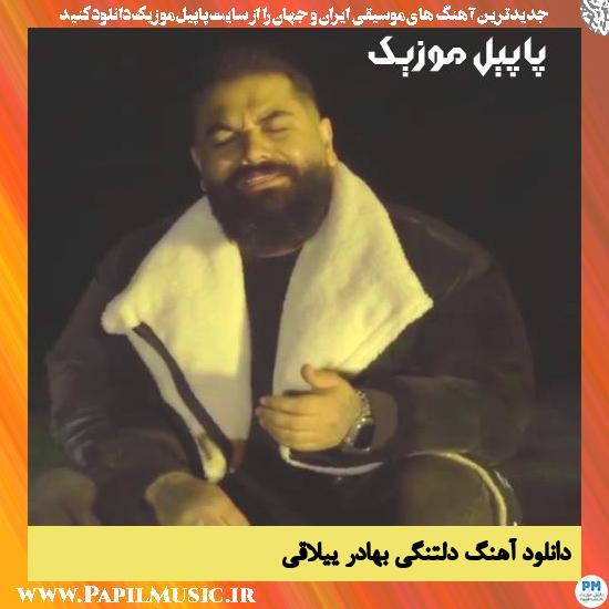 دانلود آهنگ دلتنگی از بهادر ییلاقی