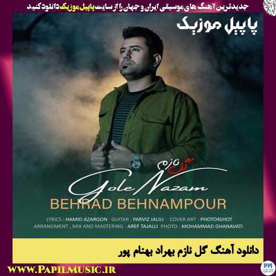 دانلود آهنگ گل نازم از بهراد بهنام پور 1 Behrad Behnampour Gole Nazam دانلود آهنگ گل نازم از بهراد بهنام پور