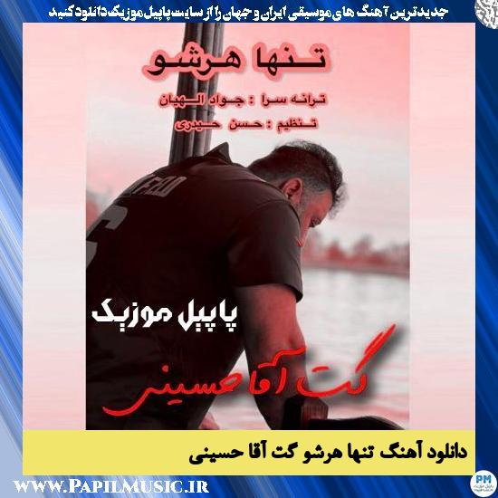 دانلود آهنگ تنها هرشو از گت آقا حسینی