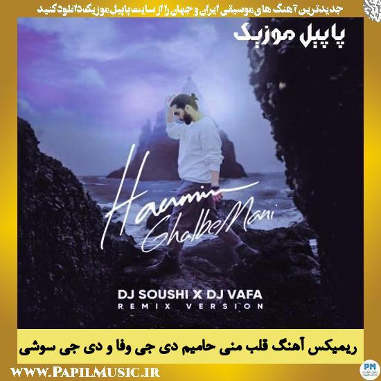Haamim دانلود آهنگ قلب منی (ریمیکس) از حامیم