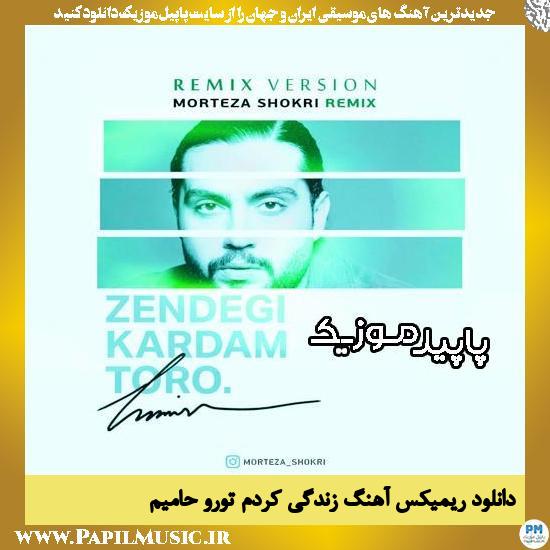 دانلود آهنگ زندگی کردم تورو (ریمیکس) از حامیم