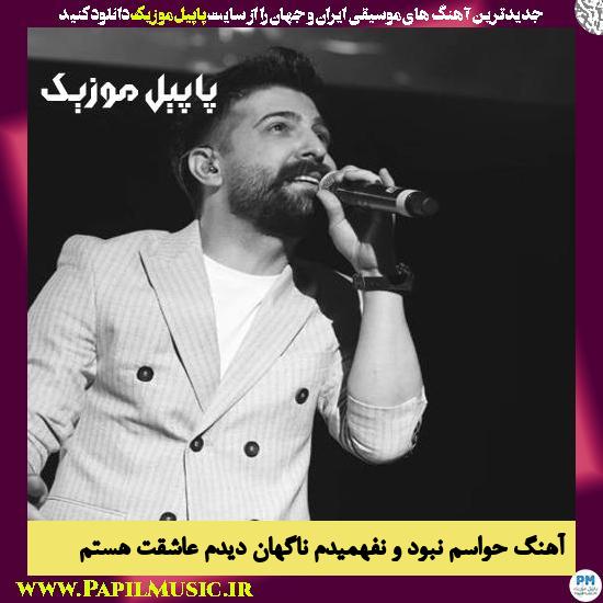 Hamid Hiraad Havasam Nabodo Nafahmidam دانلود آهنگ حواسم نبود و نفهمیدم ناگهان دیدم عاشقت هستم از حمید هیراد
