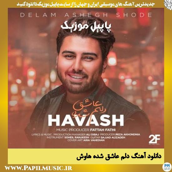دانلود آهنگ دلم عاشق شده از هاوش 1 Havash Delam Ashegh Shode دانلود آهنگ دلم عاشق شده از هاوش
