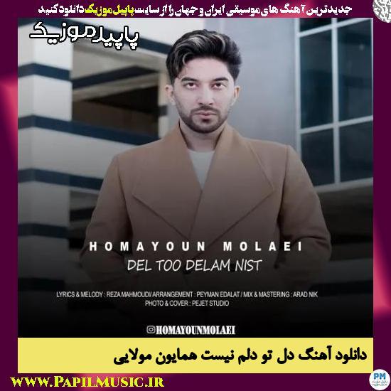 دانلود آهنگ دل تو دلم نیست از همایون مولایی