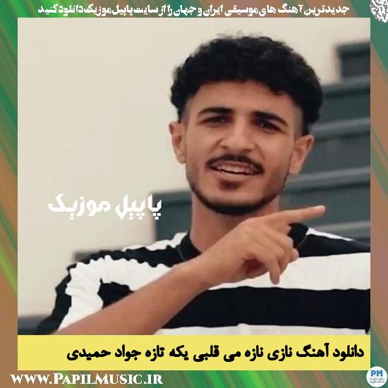 Javad Hamidi Nazi Naze Mi Ghalbi Yeketaze دانلود آهنگ نازی نازه می قلبی یکه تازه از جواد حمیدی