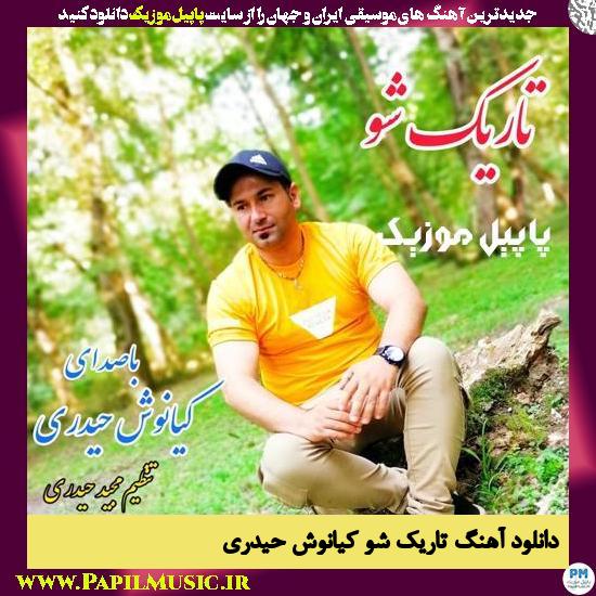 Kiyanoosh Heydari Tarik Sho دانلود آهنگ تاریک شو از کیانوش حیدری