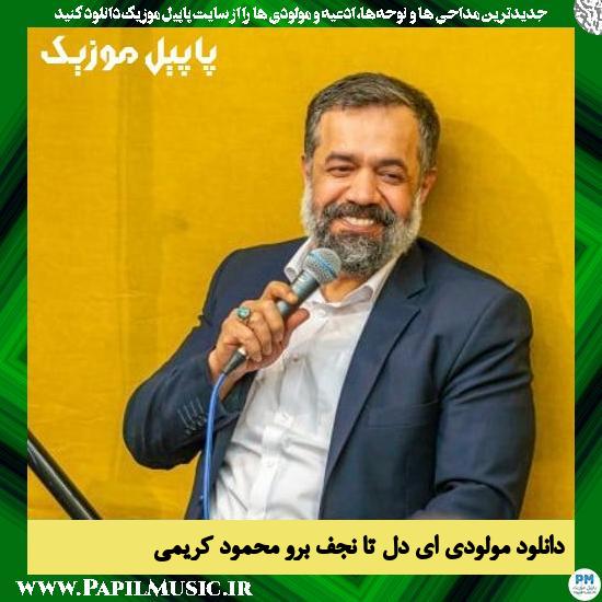 Mahmoud Karimi Ey Del Ta Najaf Boro دانلود مولودی ای دل تا نجف برو از محمود کریمی