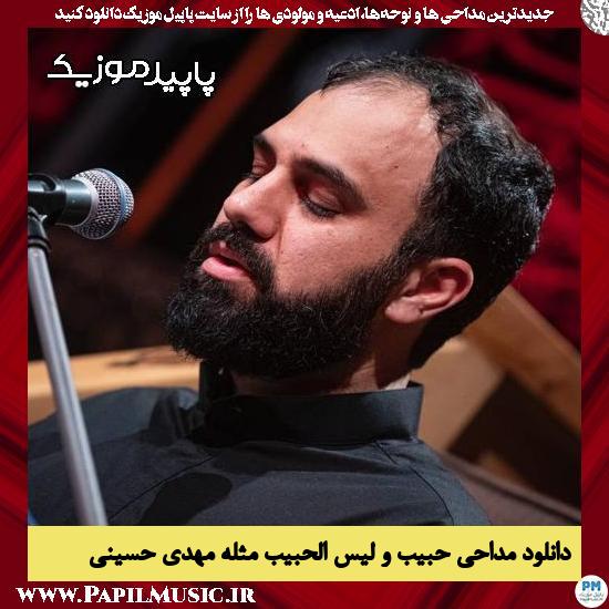 دانلود مداحی حبیب و لیس الحبیب مثله از مهدی حسینی