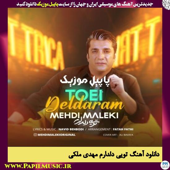 دانلود آهنگ تویی دلدارم از مهدی ملکی
