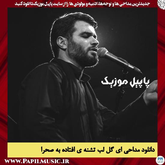 Meysam Motiee Ey Gole Labteshneye Oftade Be Sahra دانلود مداحی ای گل لب تشنه ی افتاده به صحرا از میثم مطیعی