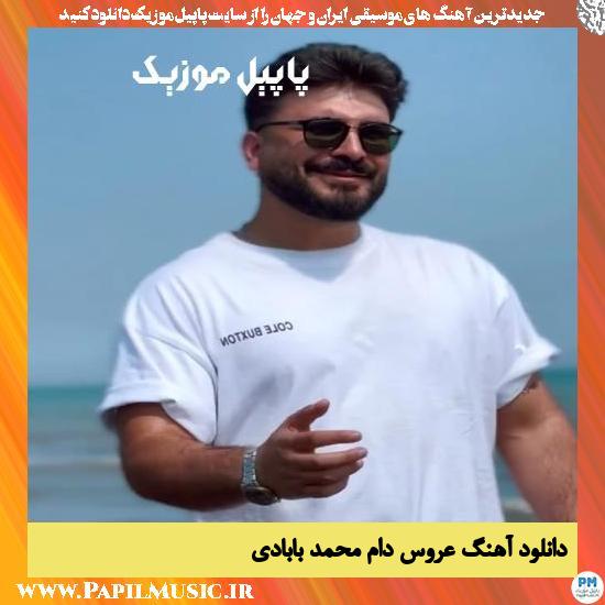 دانلود آهنگ عروس دام از محمد بابادی