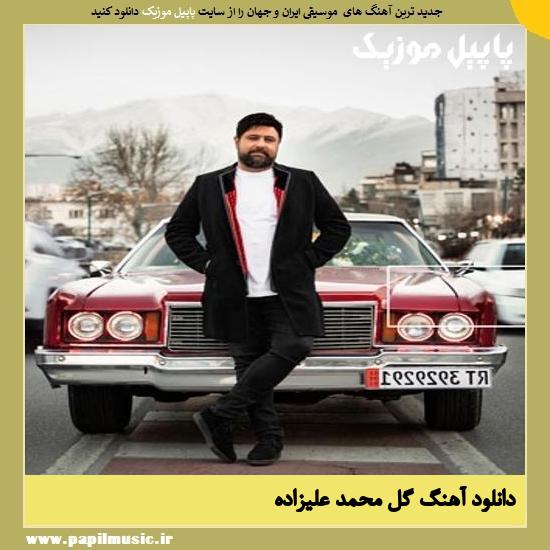Mohammad Alizadeh Gol دانلود آهنگ گل از محمد علیزاده