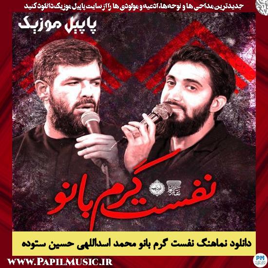دانلود نماهنگ نفست گرم بانو از محمد اسداللهی