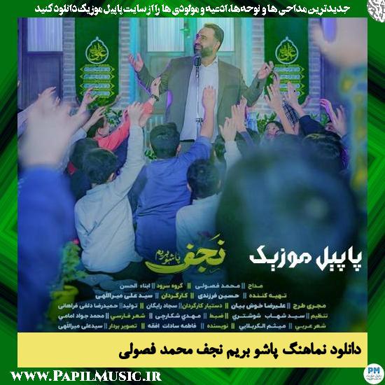 Mohammad Fosoli Pasho Berim Najaf دانلود نماهنگ پاشو بریم نجف از محمد فصولی