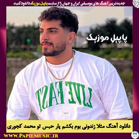 دانلود آهنگ مثلا زندونی بوم بکشم یار حبس تو از محمد کجوری