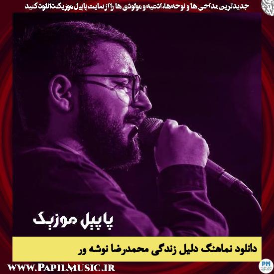 دانلود نماهنگ دلیل زندگی از محمدرضا نوشه ور 5 دانلود نماهنگ دلیل زندگی از محمدرضا نوشه ور