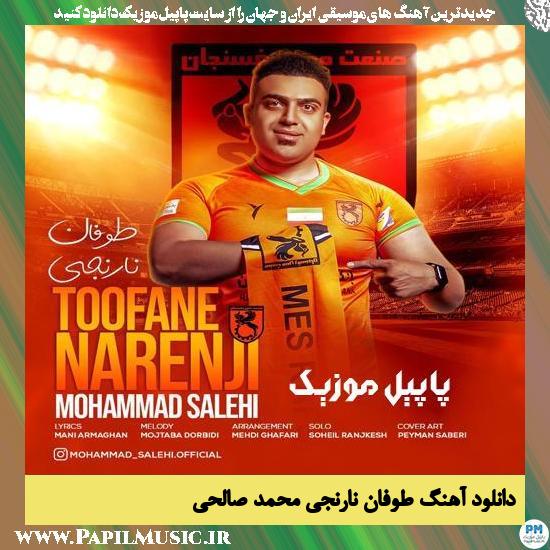 دانلود آهنگ طوفان نارنجی از محمد صالحی