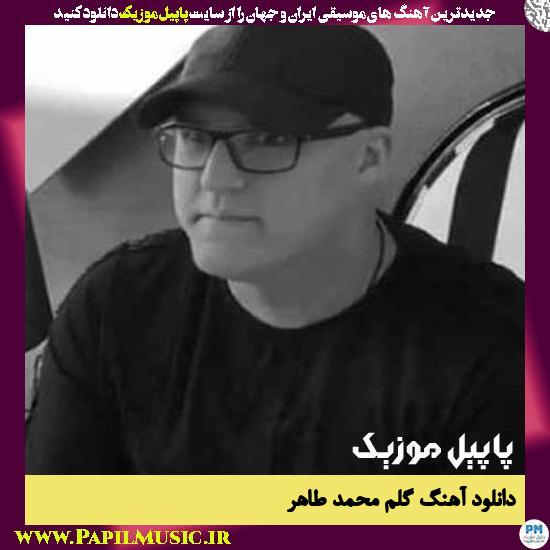 دانلود آهنگ گلم از محمد طاهر 1 Mohammad Taher Golam دانلود آهنگ گلم از محمد طاهر