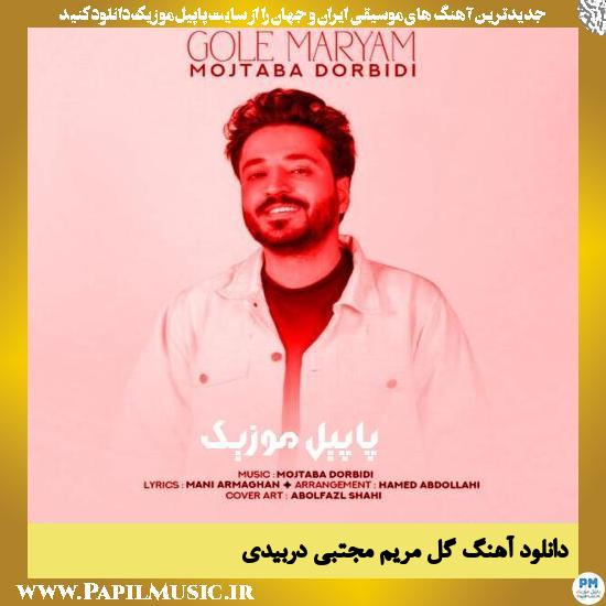 دانلود آهنگ گل مریم از مجتبی دربیدی