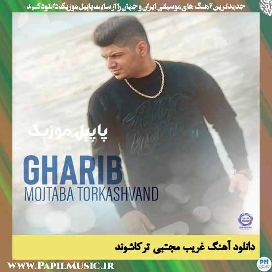 دانلود آهنگ غریب از مجتبی ترکاشوند