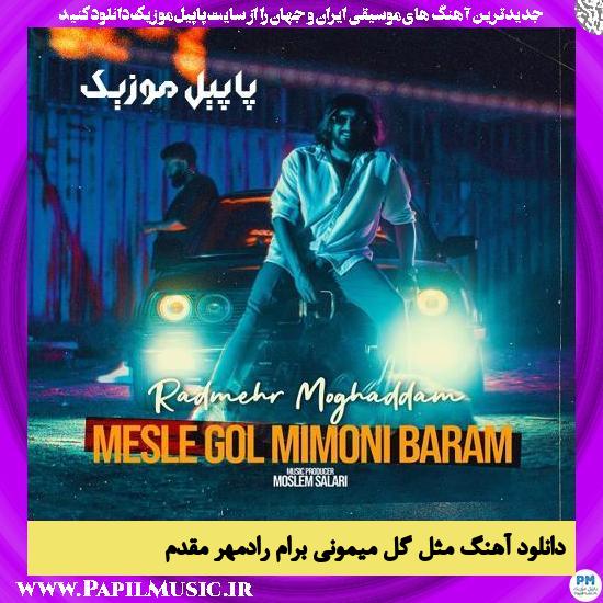 دانلود آهنگ مثل گل میمونی برام از رادمهر مقدم 1 Radmehr Moghaddam Mesle Gol Mimooni Baram دانلود آهنگ مثل گل میمونی برام از رادمهر مقدم