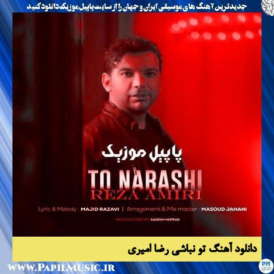 دانلود آهنگ تو نباشی از رضا امیری