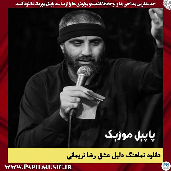 دانلود نماهنگ دلیل عشق از رضا نریمانی