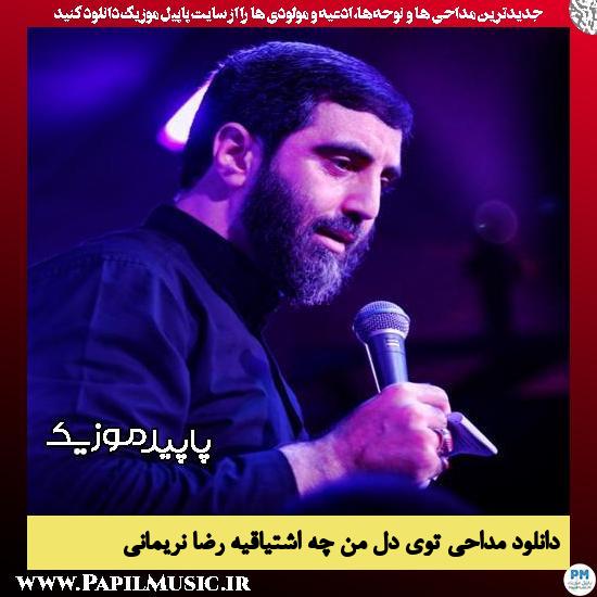 دانلود مداحی توی دل من چه اشتیاقیه از رضا نریمانی