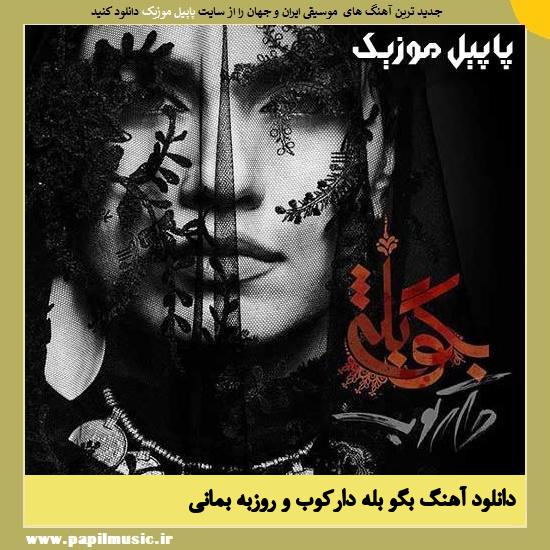 Roozbeh Bemani Ft Daarkoob Band Begoo Bale دانلود آهنگ بگو بله از دارکوب و روزبه بمانی