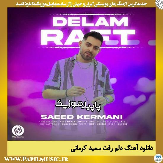 دانلود آهنگ دلم رفت از سعید کرمانی 1 دانلود آهنگ دلم رفت از سعید کرمانی