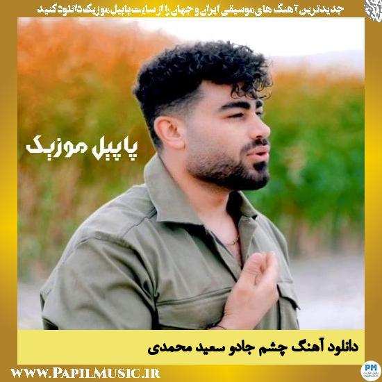دانلود آهنگ چشم جادو از سعید محمدی 1 دانلود آهنگ چشم جادو از سعید محمدی