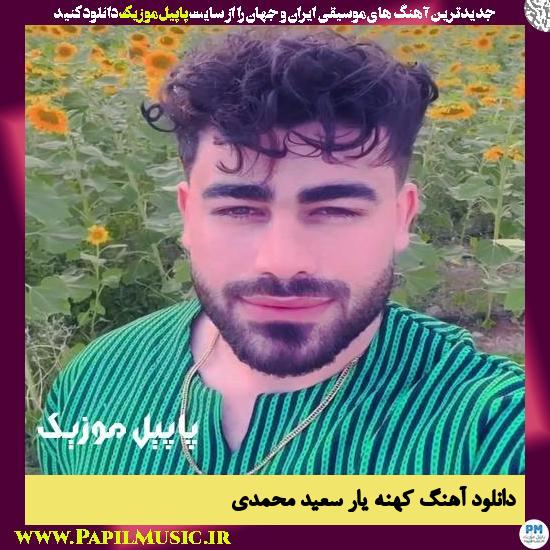 Saeed Mohamadi Kohne Yar دانلود آهنگ کهنه یار از سعید محمدی