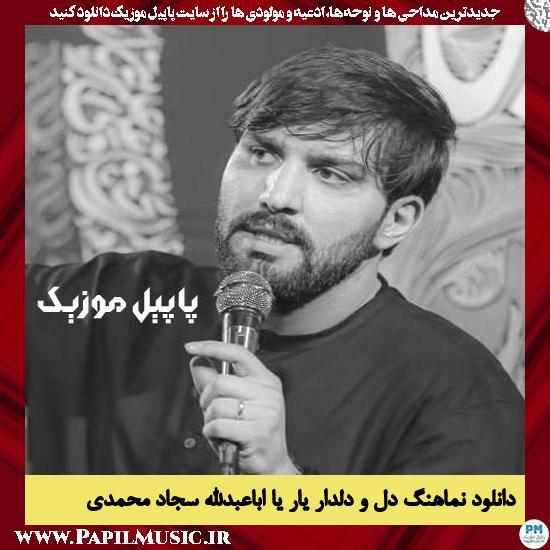 دانلود نماهنگ دل و دلدار یار یا اباعبدالله از سجاد محمدی