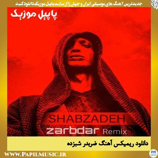 دانلود آهنگ ریمیکس ضربدر از شبزده 1 Shabzadeh دانلود آهنگ ریمیکس ضربدر از شبزده