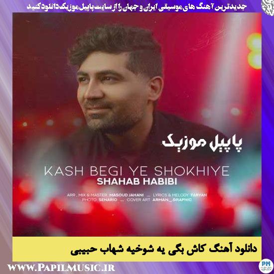 دانلود آهنگ کاش بگی یه شوخیه از شهاب حبیبی