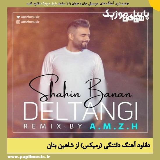 Shahin Banan دانلود آهنگ دلتنگی (رمیکس) از شاهین بنان