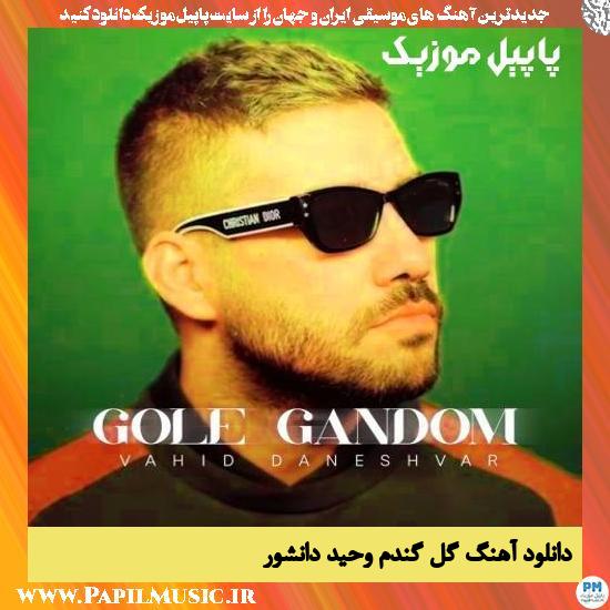دانلود آهنگ گل گندم از وحید دانشور