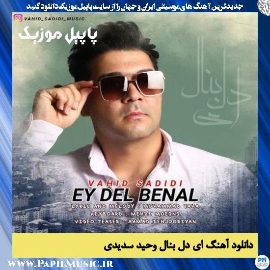 Vahid Sadidi Ey Del Benal دانلود آهنگ ای دل بنال از وحید سدیدی