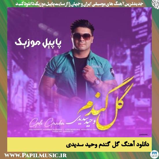 Vahid Sadidi Gole Gandom دانلود آهنگ گل گندم از وحید سدیدی